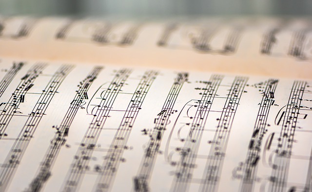 Jouer du tongue drum : techniques essentielles pour débutants